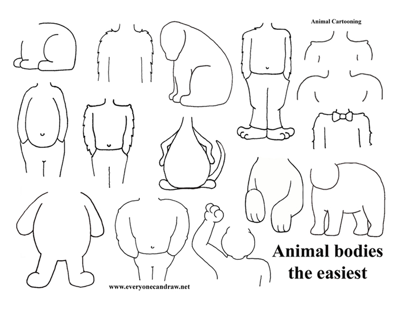 Animal bodies - easiest